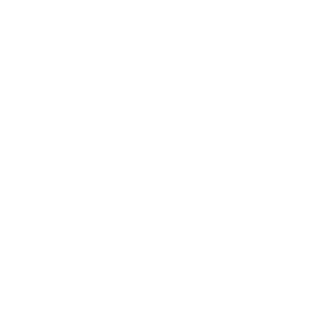 Steelx